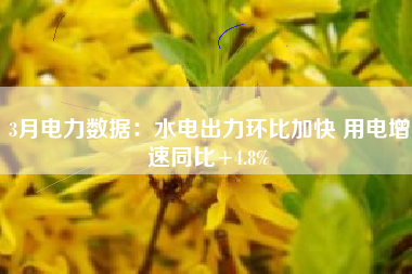 3月电力数据：水电出力环比加快 用电增速同比+4.8%