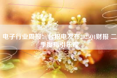 电子行业周报：台积电发布2025Q1财报 二季度指引乐观