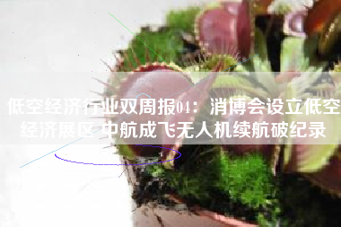 低空经济行业双周报04：消博会设立低空经济展区 中航成飞无人机续航破纪录