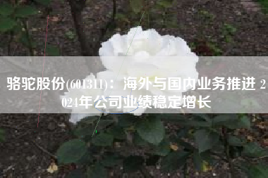 骆驼股份(601311)：海外与国内业务推进 2024年公司业绩稳定增长
