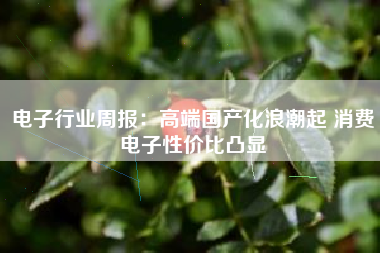 电子行业周报：高端国产化浪潮起 消费电子性价比凸显