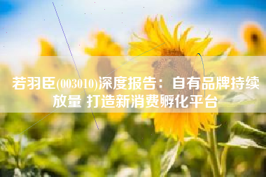 若羽臣(003010)深度报告：自有品牌持续放量 打造新消费孵化平台