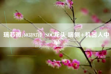 瑞芯微(603893)：SOC龙头 端侧+机器人中军