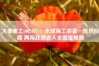 大金重工(002487)：全球海工装备一流供应商 两海战略进入全面提质期