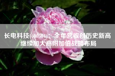 长电科技(600584)：全年营收创历史新高 继续加大高附加值战略布局