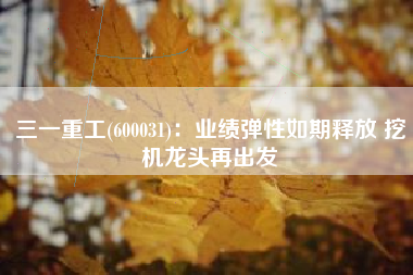 三一重工(600031)：业绩弹性如期释放 挖机龙头再出发