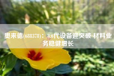 奥来德(688378)：8.6代设备迎突破 材料业务稳健增长