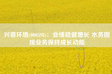 兴蓉环境(000598)：业绩稳健增长 水务固废业务保持成长动能