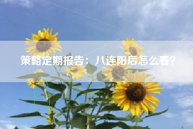 策略定期报告：八连阳后怎么看？