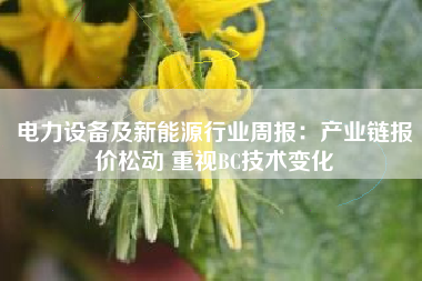电力设备及新能源行业周报：产业链报价松动 重视BC技术变化