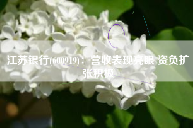 江苏银行(600919)：营收表现亮眼 资负扩张积极