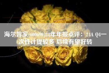 海尔智家(600690)24年年报点评：24A Q4一次性计提较多 后续有望好转