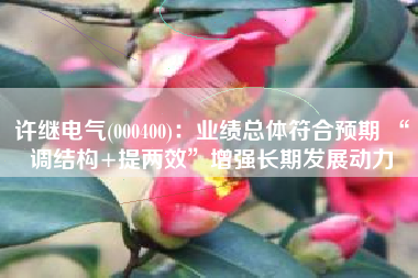 许继电气(000400)：业绩总体符合预期 “调结构+提两效”增强长期发展动力