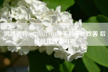 鸿路钢构(002541)：Q4吨毛利环比改善 后续经营改善可期