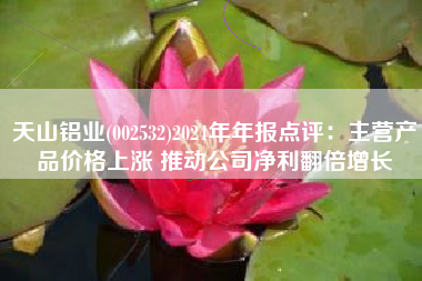 天山铝业(002532)2024年年报点评：主营产品价格上涨 推动公司净利翻倍增长