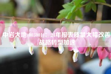 中岩大地(003001)：24年报表质量大幅改善 战略转型加速