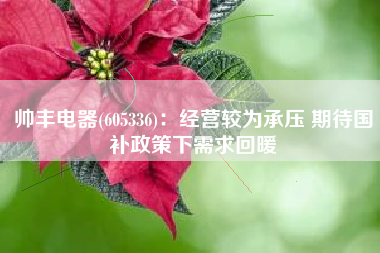 帅丰电器(605336)：经营较为承压 期待国补政策下需求回暖