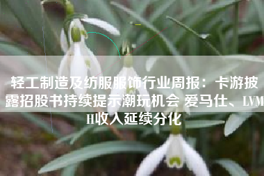 轻工制造及纺服服饰行业周报：卡游披露招股书持续提示潮玩机会 爱马仕、LVMH收入延续分化