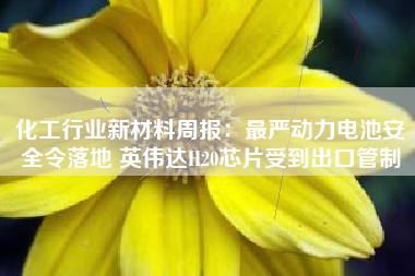 化工行业新材料周报：最严动力电池安全令落地 英伟达H20芯片受到出口管制