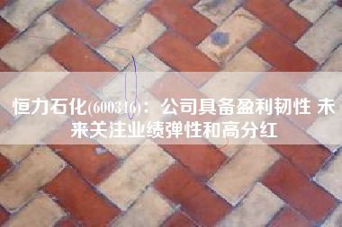 恒力石化(600346)：公司具备盈利韧性 未来关注业绩弹性和高分红