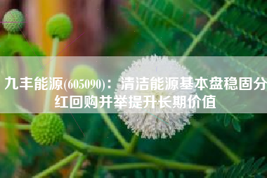 九丰能源(605090)：清洁能源基本盘稳固分红回购并举提升长期价值