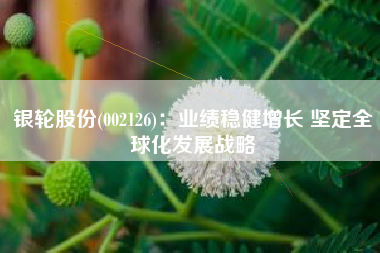 银轮股份(002126)：业绩稳健增长 坚定全球化发展战略