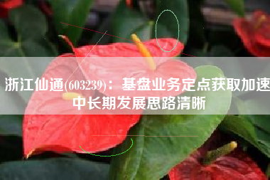 浙江仙通(603239)：基盘业务定点获取加速 中长期发展思路清晰