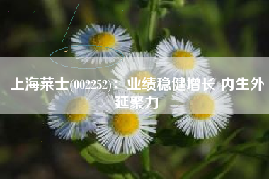 上海莱士(002252)：业绩稳健增长 内生外延聚力