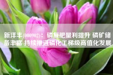 新洋丰(000902)：磷复肥量利提升 磷矿储备丰富 持续推进磷化工梯级高值化发展