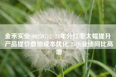 金禾实业(002597)：24年分红率大幅提升 产品提价叠加成本优化 25Q1业绩同比高增