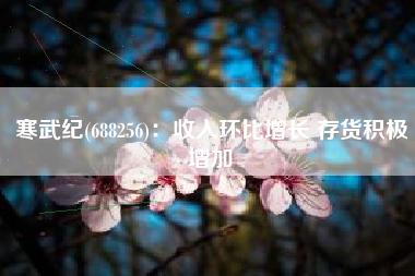寒武纪(688256)：收入环比增长 存货积极增加