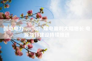 国电电力(600795)：煤电盈利大幅增长 电源项目建设持续推进