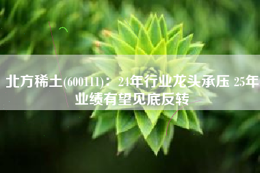 北方稀土(600111)：24年行业龙头承压 25年业绩有望见底反转