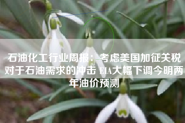 石油化工行业周报：考虑美国加征关税对于石油需求的冲击 EIA大幅下调今明两年油价预测