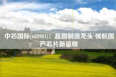 中芯国际(688981)：晶圆制造龙头 领航国产芯片新征程
