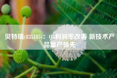 贝特瑞(835185)：Q4利润率改善 新技术产品量产领先