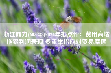 浙江鼎力(603338)2024年报点评：费用高增拖累利润表现 多重举措应对贸易摩擦