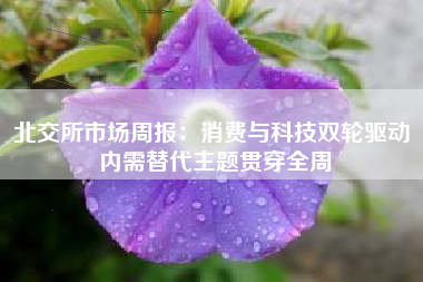 北交所市场周报：消费与科技双轮驱动 内需替代主题贯穿全周