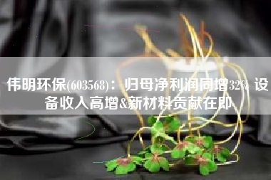 伟明环保(603568)：归母净利润同增32% 设备收入高增&新材料贡献在即