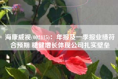 海康威视(002415)：年报及一季报业绩符合预期 稳健增长体现公司扎实壁垒