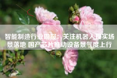 智能制造行业周报：关注机器人现实场景落地 国产芯片推动设备景气度上行
