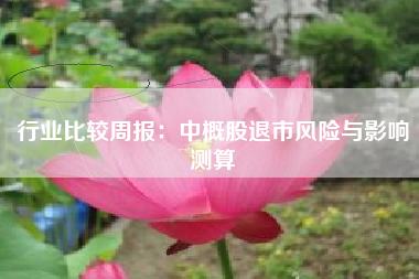 行业比较周报：中概股退市风险与影响测算