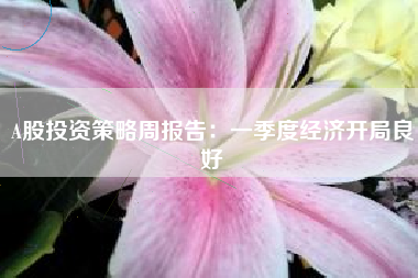 A股投资策略周报告：一季度经济开局良好