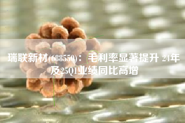 瑞联新材(688550)：毛利率显著提升 24年及25Q1业绩同比高增