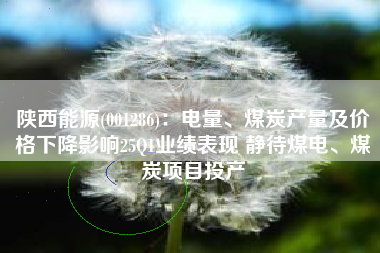 陕西能源(001286)：电量、煤炭产量及价格下降影响25Q1业绩表现 静待煤电、煤炭项目投产