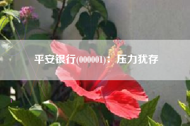平安银行(000001)：压力犹存