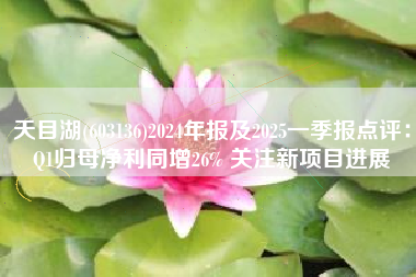 天目湖(603136)2024年报及2025一季报点评：Q1归母净利同增26% 关注新项目进展