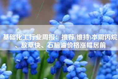 基础化工行业周报：推荐(维持)本周丙烷、敌草快、石脑油价格涨幅居前