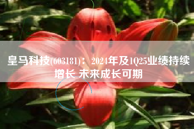 皇马科技(603181)：2024年及1Q25业绩持续增长 未来成长可期