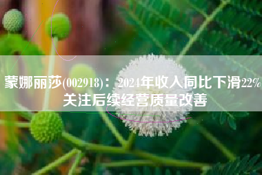 蒙娜丽莎(002918)：2024年收入同比下滑22% 关注后续经营质量改善